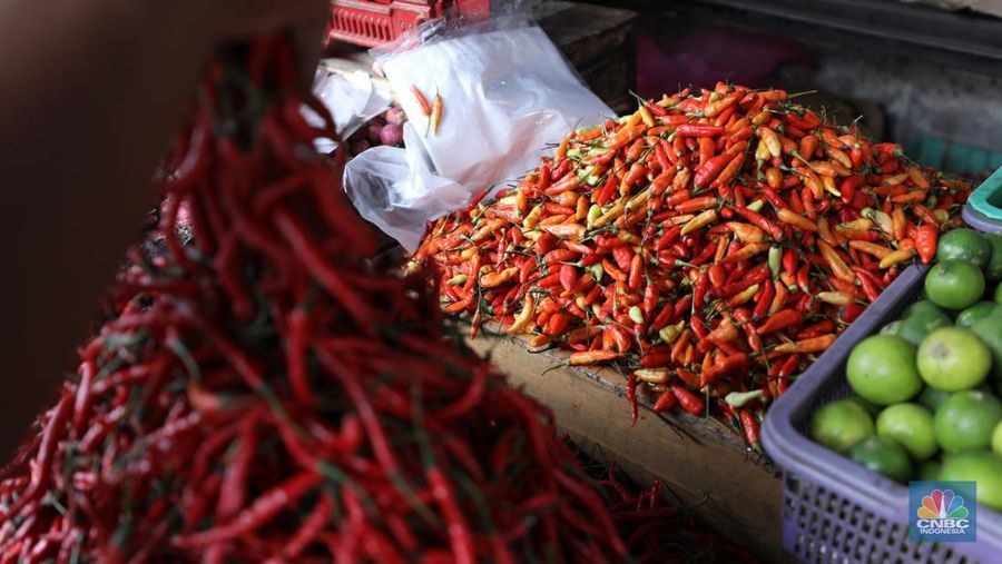 Penjual melayani pembeli cabai rawit merah di Pasar Palmerah, Jakarta, Jum'at (3/11/2023). Harga cabai terpantau sedang dalam tren naik dan terus beterbangan. Bahkan harga cabai rawit merah sudah mencapai Rp100.000/kg. (CNBC Indonesia/Tri Susilo)