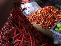 Harga Cabai Tembus Rp120.000/ Kg, Badan Pangan Bilang Gini