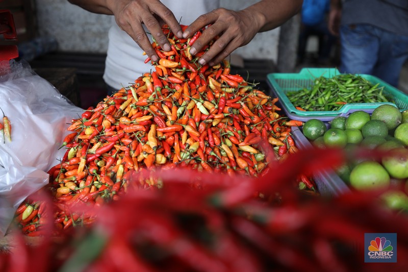 cabai rawit naik Penjual melayani pembeli cabai rawit merah di Pasar Palmerah, Jakarta, Jum'at (3/11/2023). Harga cabai terpantau sedang dalam tren naik dan terus beterbangan. Bahkan harga cabai rawit merah sudah mencapai Rp100.000/kg. (CNBC Indonesia/Tri Susilo)