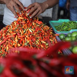Kena Efek Cuaca, Petani Ramal Begini Harga Cabai Sampai Akhir 2024