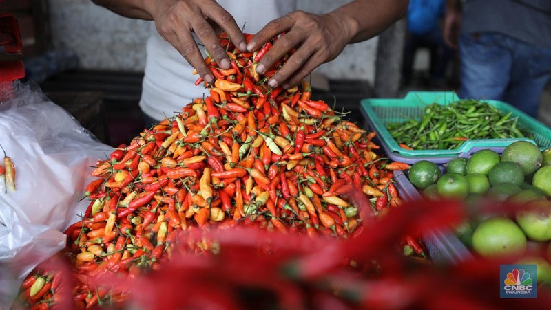 Penjual melayani pembeli cabai rawit merah di Pasar Palmerah, Jakarta, Jum'at (3/11/2023). Harga cabai terpantau sedang dalam tren naik dan terus beterbangan. Bahkan harga cabai rawit merah sudah mencapai Rp100.000/kg. (CNBC Indonesia/Tri Susilo)