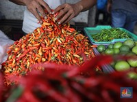 Kena Efek Cuaca, Petani Ramal Begini Harga Cabai Sampai Akhir 2024
