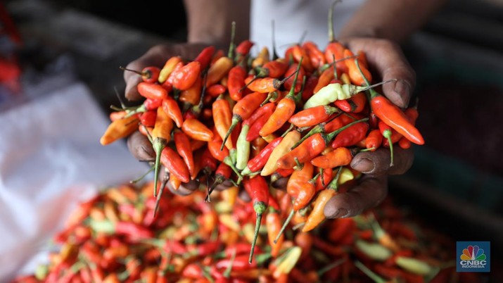 Penjual melayani pembeli cabai rawit merah di Pasar Palmerah, Jakarta, Jum'at (3/11/2023). Harga cabai terpantau sedang dalam tren naik dan terus beterbangan. Bahkan harga cabai rawit merah sudah mencapai Rp100.000/kg. (CNBC Indonesia/Tri Susilo)