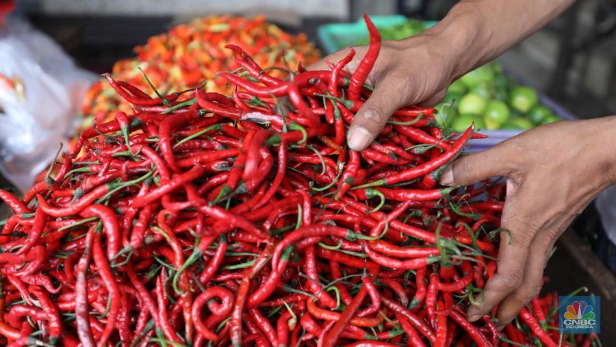 Penjual melayani pembeli cabai rawit merah di Pasar Palmerah, Jakarta, Jum'at (3/11/2023). Harga cabai terpantau sedang dalam tren naik dan terus beterbangan. Bahkan harga cabai rawit merah sudah mencapai Rp100.000/kg. (վ/Tri Susilo)