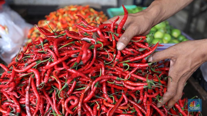 Penjual melayani pembeli cabai rawit merah di Pasar Palmerah, Jakarta, Jum'at (3/11/2023). Harga cabai terpantau sedang dalam tren naik dan terus beterbangan. Bahkan harga cabai rawit merah sudah mencapai Rp100.000/kg. (CNBC Indonesia/Tri Susilo)