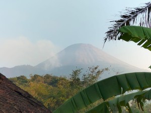 Luas Hutan Gunung Penanggungan yang Terbakar Capai 80 Hektare