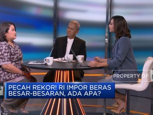 Jor-joran Impor Beras Jokowi, Mimpi Swasembada Terkubur?