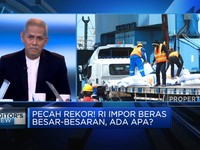 Pecah Rekor Impor Beras Indonesia Jelang Pilpres, Ada Apa?