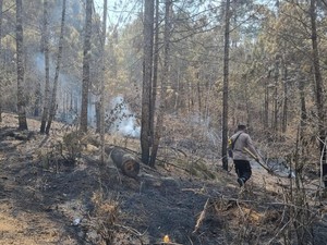 Tim Gabungan Masih Temukan Bara Api di Gunung Merbabu Wilayah Semarang