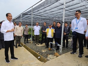 Dirut PLN: Kelistrikan di IKN Berbasis Energi Baru Terbarukan
