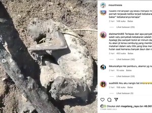 Monyet-Kijang Ditemukan Terbakar di Gunung Merbabu