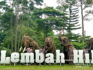Harga Tiket-Fasilitas Terkini Lembah Hijau Lampung, Ada Satwa hingga Waterboom