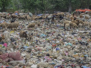 Ahli Kasih Masukan soal Penanganan Sampah, Ini Caranya