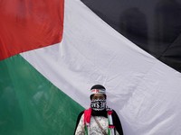 Ramai Media Asing Sorot RI Bela Palestina, Sebut Ini