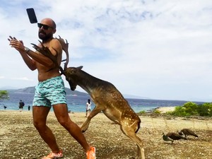 Niat Selfie dengan Rusa, Turis Ini Malah Diseruduk hingga Rusuk Patah
