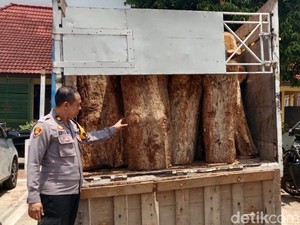 Polisi Amankan Truk Angkut 65 Kayu Jati Ilegal di Batang