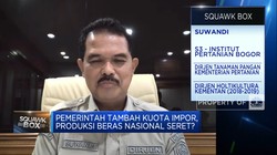 Genjot Produksi Beras Nasional, Kementan Andalkan 12 Provinsi