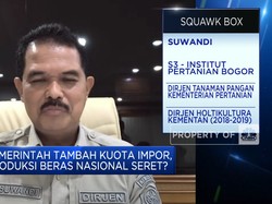 Genjot Produksi Beras Nasional, Kementan Andalkan 12 Provinsi