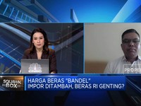 Harga Beras Tinggi & Impor Ditambah, Stok Beras RI Genting?