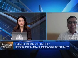 Harga Beras Tinggi & Impor Ditambah, Stok Beras RI Genting?