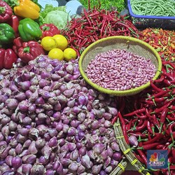 Harga Cabai Makin Pedas, Inflasi November Panas