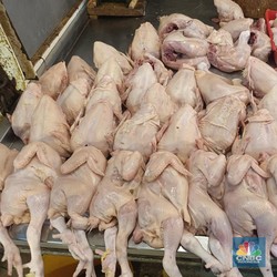 Kepala BPS Ingatkan Jaga Harga Daging Ayam-Cabai, Ada Fenomena Apa?