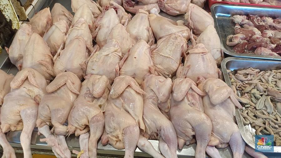 Harga daging ayam di Pasar Anyar Bogor, Jawa Barat hari ini, Senin (6/11/2023) terpantau mengalami penurunan. (վ/Martyasari Rizky)