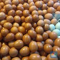 Telur Ayam vs Telur Bebek, Mana yang Tinggi Kolesterol?