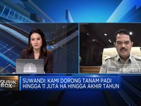Kementan Genjot Produksi Beras Dari Daerah Rawa, Caranya?