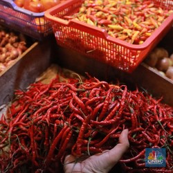 Harga Cabai Sampai Bawang Makin Mahal, Petani Untung?