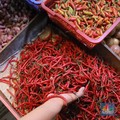 Warga Indonesia Harus Siap-Siap Tabah, 2025 Bisa Jadi Tahun Sulit