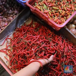 Warga Indonesia Harus Siap-Siap Tabah, 2025 Bisa Jadi Tahun Sulit