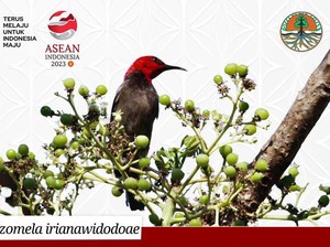 3 Flora dan Fauna Terbaru Indonesia, Ada yang Ambil Nama Ibu Negara