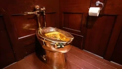 Terdakwa Pencuri Artwork Toilet Emas Divonis Bersalah!