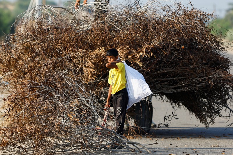 Warga Palestina mengumpulkan ranting-ranting untuk dijadikan bahan bakar di Khan Younis, Jalur Gaza selatan, Minggu (5/11). menjadi bahan bakar untuk memasak di tengah kekurangan bahan bakar dan gas. (REUTERS/Ibraheem Abu Mustafa)