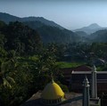 BRI Menanam Dorong Ekonomian Desa BRILian Makin Unggul