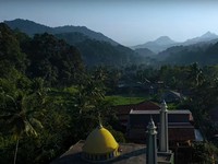 BRI Menanam Dorong Ekonomian Desa BRILian Makin Unggul