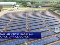 Ganjar Kritik Masalah Pupuk Dan Oligopoli