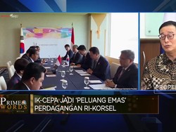 Investor Korsel Blak-blakan Minat di Proyek IKN