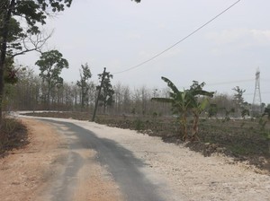 Bupati Blora Cerita 7 Tahun Perjuangkan Bangun Jalan Randublatung-Getas