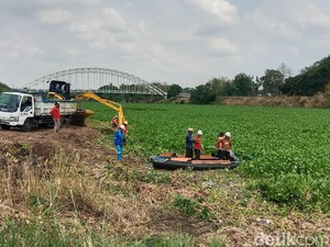 Eceng Gondok di Bengawan Solo Mulai Dibersihkan, 1 Alat Berat Diterjunkan