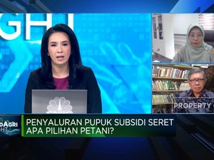  Bukan Pupuk Subsidi, Tapi Ini yang Diminta Petani