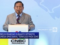 Demi Indonesia Emas 2045, Prabowo Lanjutkan Hilirisasi Jokowi