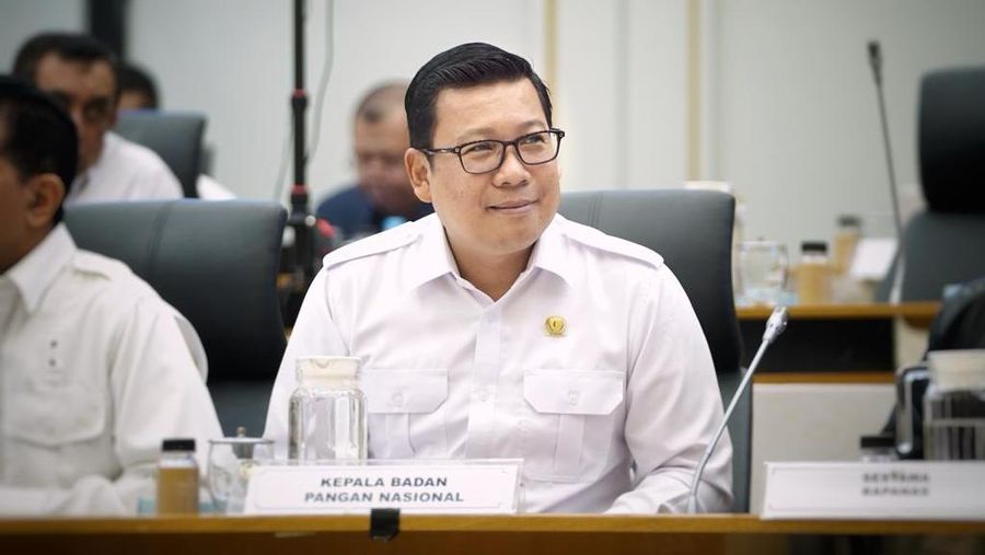 Kepala Badan Pangan Nasional Arief Prasetyo Adi, (Dok. Humas Bapanas)