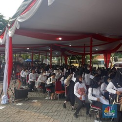 Cara Atasi Webcam.js Eror Untuk Swafoto Pendaftaran CPNS 2024