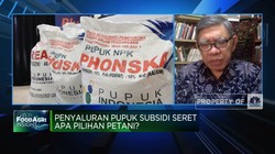 Penyaluran Pupuk Subsidi Seret, Apa Pilihan Petani?