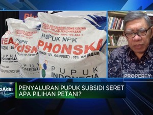 Penyaluran Pupuk Subsidi Seret, Apa Pilihan Petani?