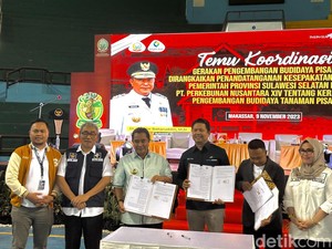 Pemprov Sulsel Gandeng PTPN Ciptakan Lapangan Kerja Program Budi Daya Pisang