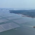 Jangan Kaget, Ini Gebrakan PLN dalam Pengembangan Energi Hijau