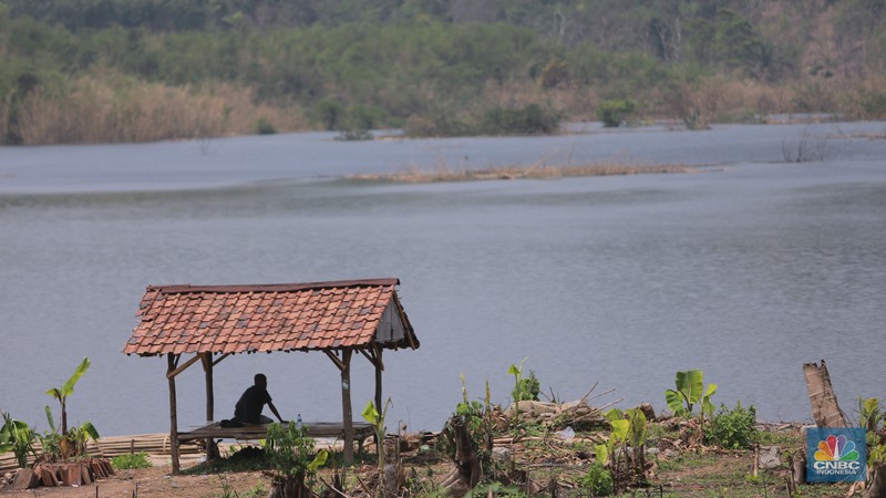 Sebuah Masjid di Kampung Sinday, Desa Pajagan, Kecamatan Sajira, Kabupaten Lebak, terlihat perlahan tenggelam oleh air yang terus meninggi saat proses Waduk Karian, Banten, Kamis, (9/11/2023). (CNBC Indonesia/Muhammad Sabki)